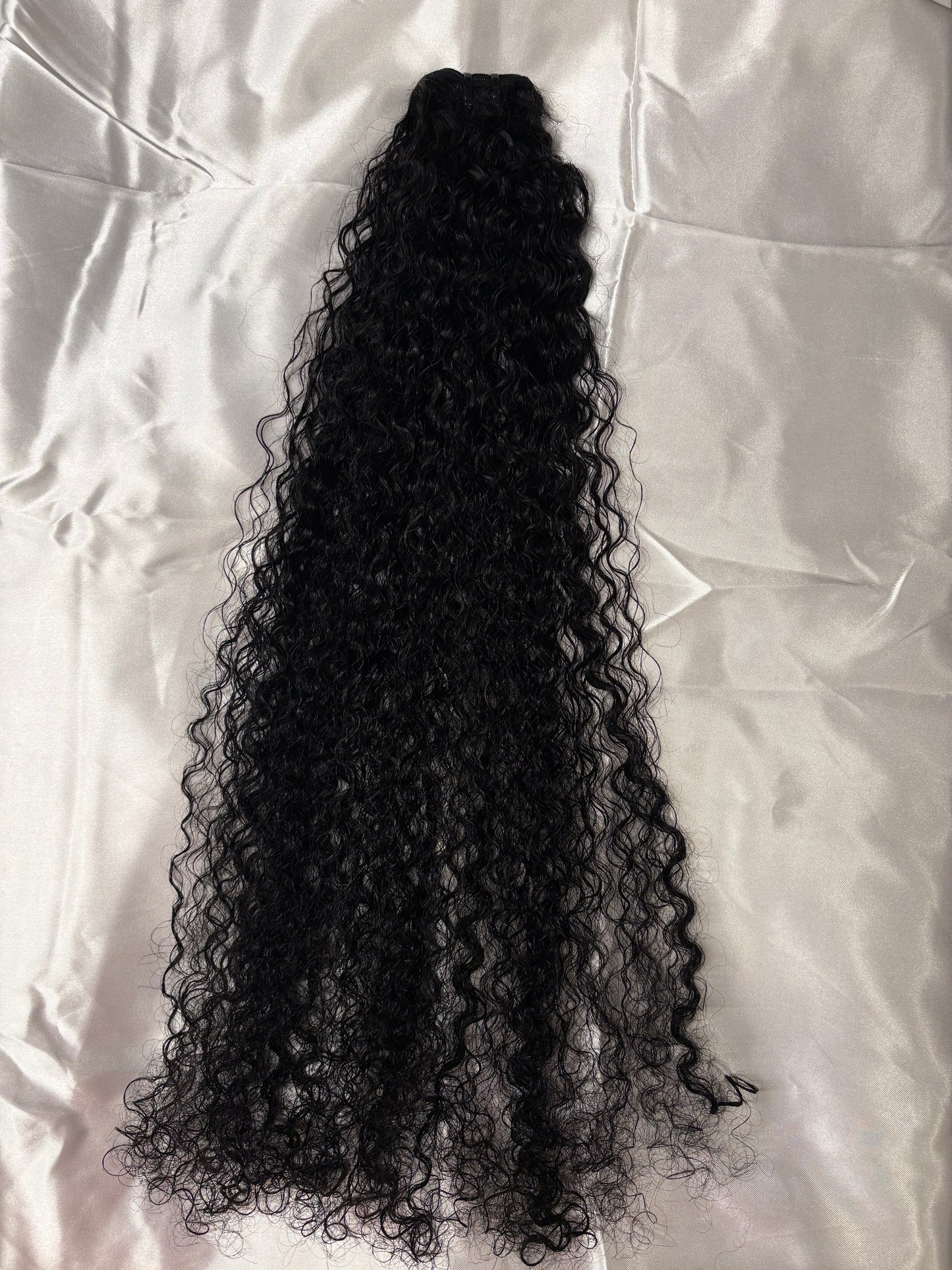 Burmese Curly 3 Bundle Deal